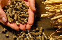 free Bowlhead Green biomass boiler quotes